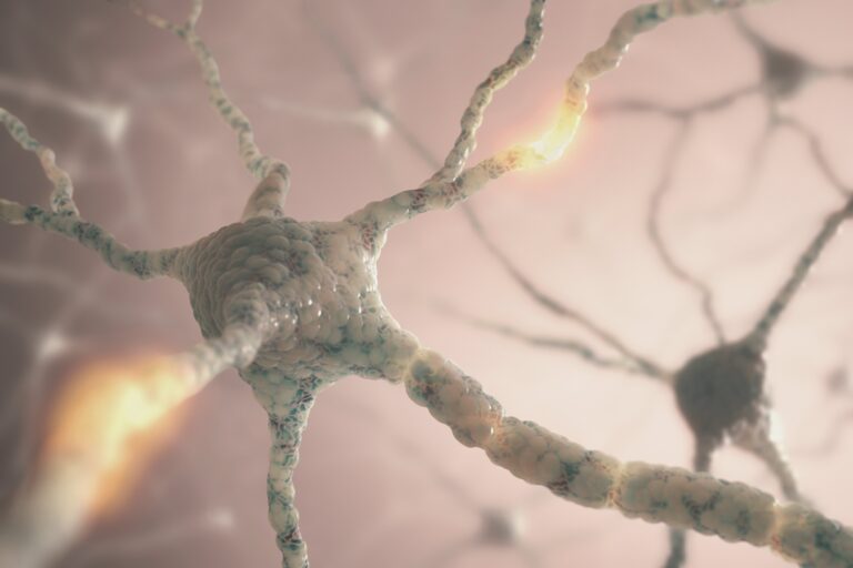 The Benefits of EcST in Treating Demyelination 
