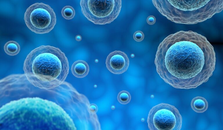 The Effects and Benefits of Electric Cell Signaling on the Bio-Chemical processes in the Human Body